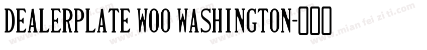 Dealerplate W00 Washington字体转换